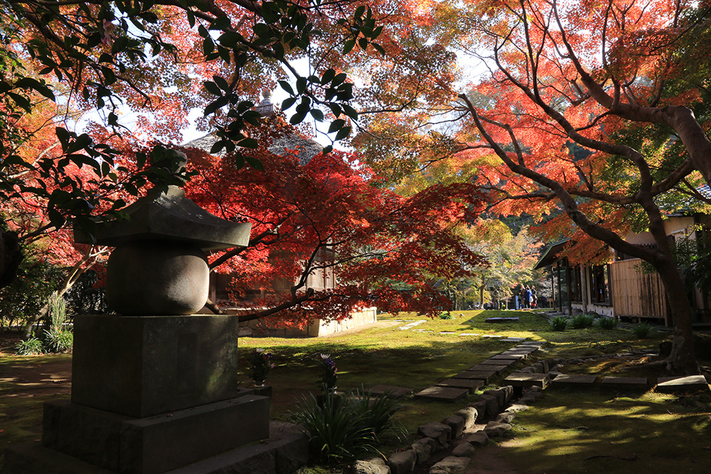 長寿寺～紅葉